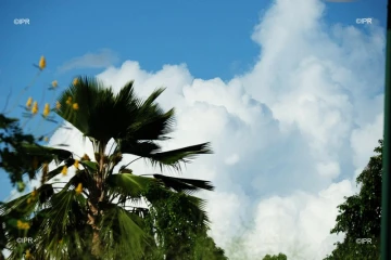météo réunion 