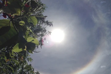 Halo
