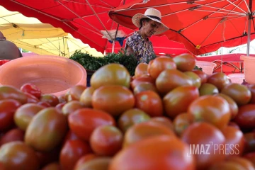 marché forain tomates 