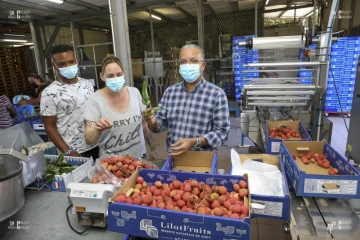 Des letchis, du séga et de la bienveillance pour les malades réunionnais de Métropole