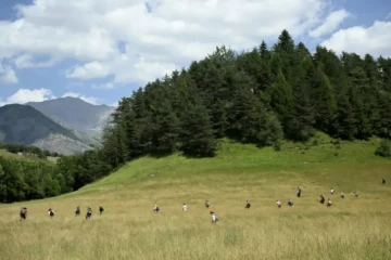 Opérations de recherche du petit Emile au Vernet, le 10 juillet 2023 dans les Alpes-de-Haute-Provence ( AFP / NICOLAS TUCAT )