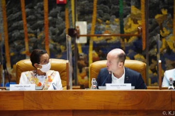 Dominique Vienne huguette bello réunion ceser