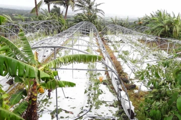 aides agriculture