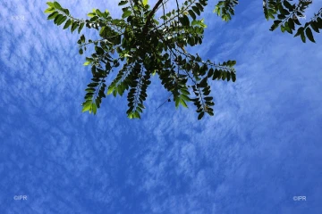 ciel 