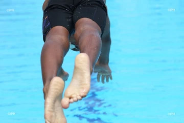 Natation 