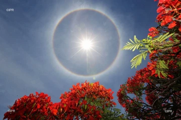 halo de chaleur