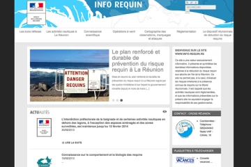 site info requins