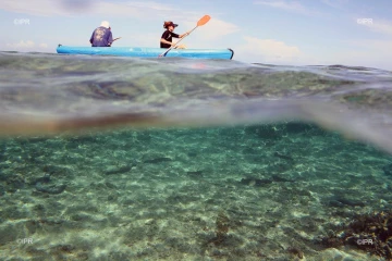 lagon 