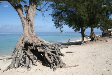 Plage de l\'hermitage 