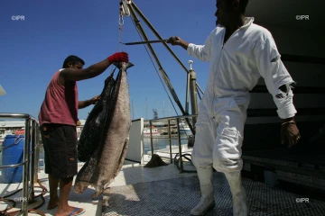 bateau pêche 