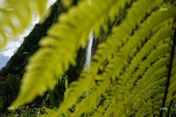paysages 