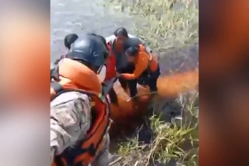 Bolivie : piégés après un crash d’avion, ils ont passé 36 heures dans un marais rempli de caïmans