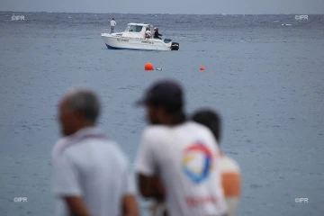 Attaque de requin au Port