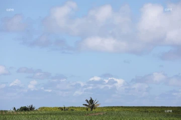 météo réunion 