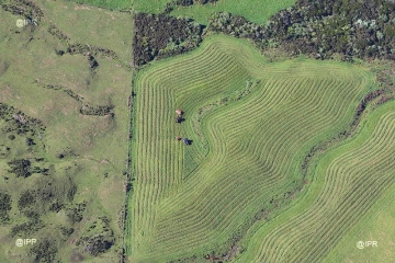 agriculture 