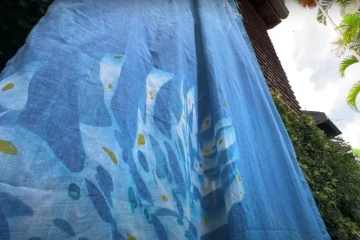 Oeuvres Cyanotypes collégiens jardin botanique