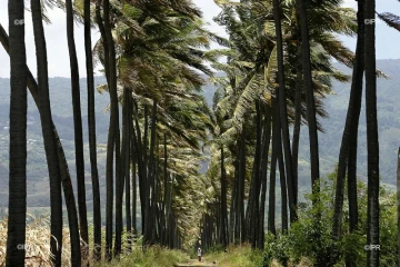 paysages 