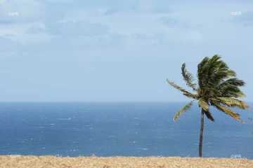 Météo réunion 