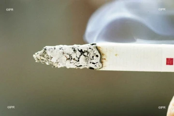 cigarettes 