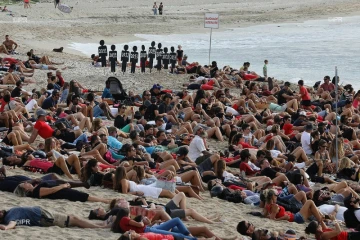 Hommage victimes requins 