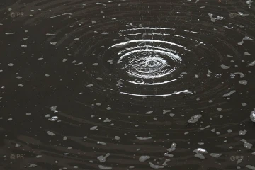 Pluie