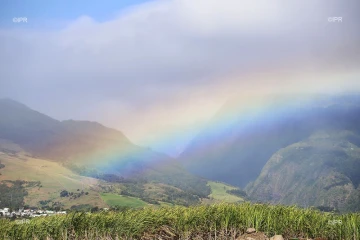 météo réunion 