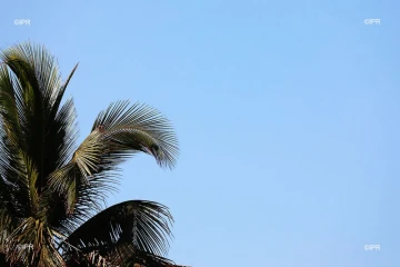 paysages 