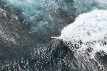 Surf