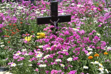Cimetière 