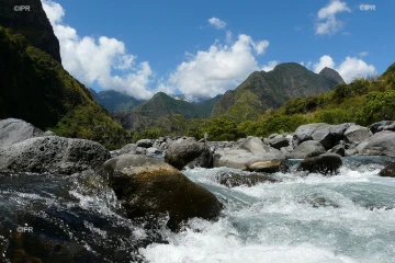 météo réunion 
