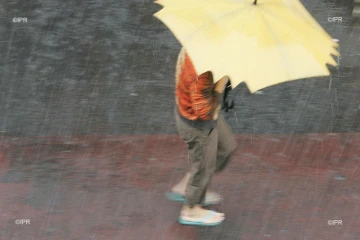 pluie 