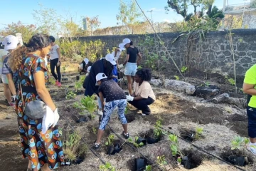 Plantation au GPM