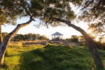 Découverte Petite France