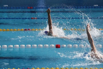 natation championnat de la réunion 