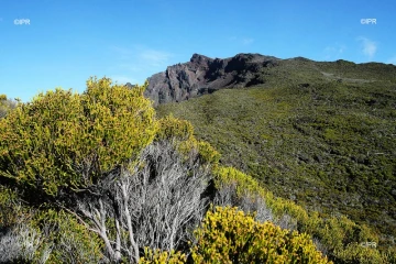 piton des neiges 