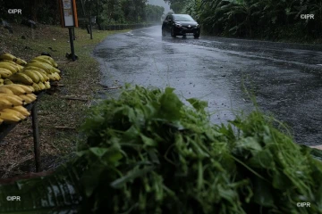 pluie 