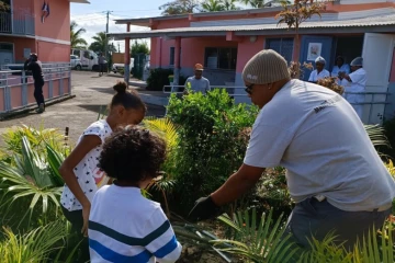 Les élèves de l’école Leconte-de-Lisle se mettent au vert 