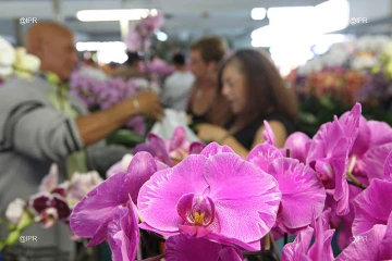 Salon Flore et Halle