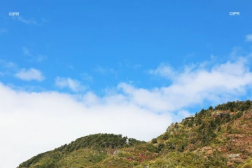 météo réunion 