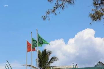 drapeaux requins ,drapeaux plages 