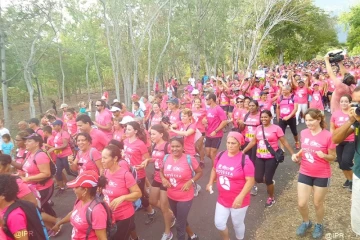 Odyssea 2014