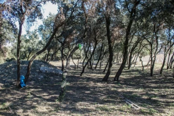 Un cimetière sauvage où sont enterrés des enfants de Harkis, à Laudun-l'Ardoise, le 5 février 2022 dans le Gard