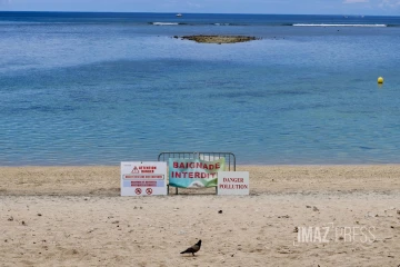 Poissons morts dans le lagon
