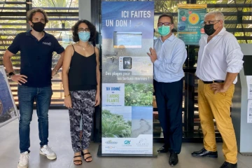 Kélonia : une borne de dons digitale installée au centre de soins 