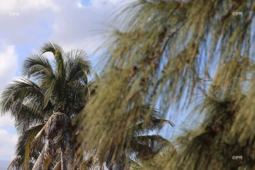 météo réunion 