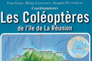 Coléoptères 