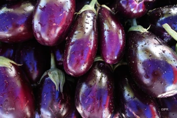 légumes et fruits 