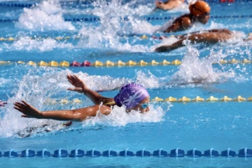 Natation comité régional Championnat hiver
