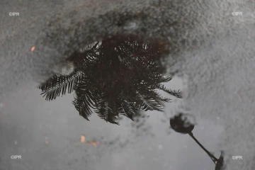 pluie 
