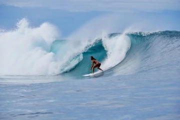 Surf